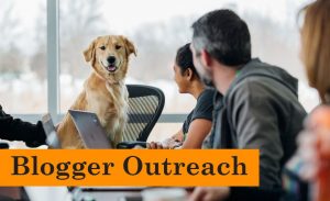 Read more about the article Blogger Outreach – A Beginner’s Guide